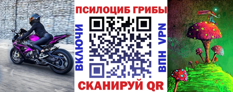 Купить  Верхняя Пышма  Галлюциногенные грибы Psilocybine cubensis 